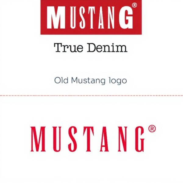 T-shirt Bogner Donna Grigio Laceartwork Manica Corta