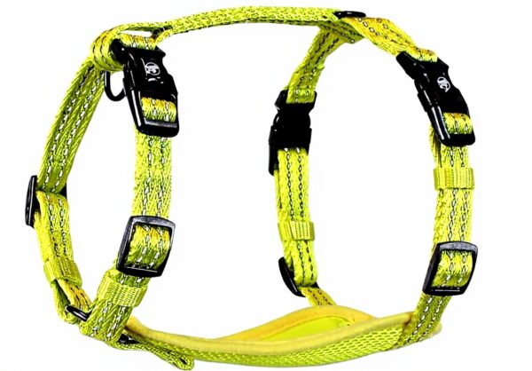 Pettorina Alcott visibilità Giallo L per cani avventura