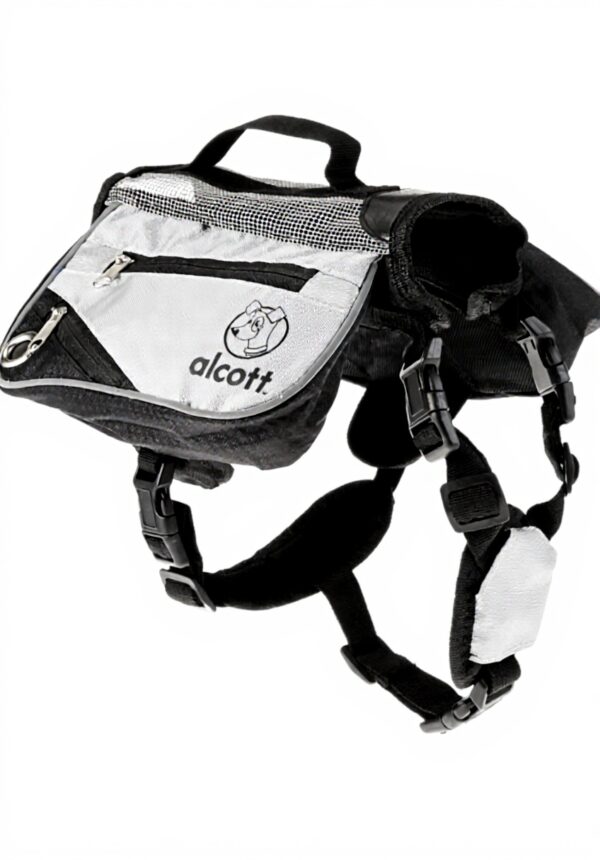 Zaino Alcott Adventure Explorer Piccolo Verde Grigio