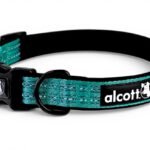 Immagine prodotto precedente