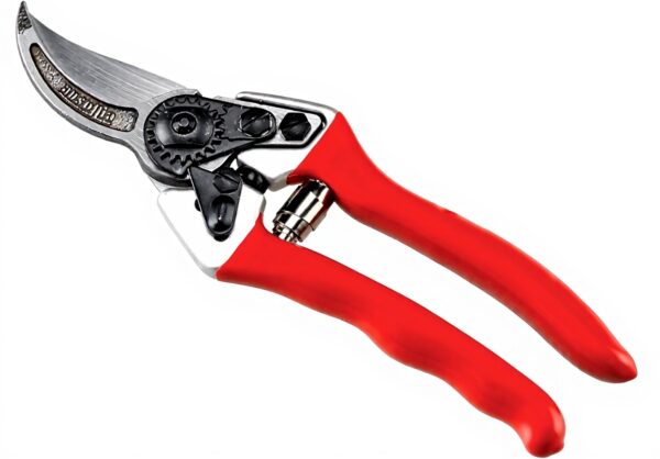 Ausonia forbice da vigna potatura acciaio carbonio