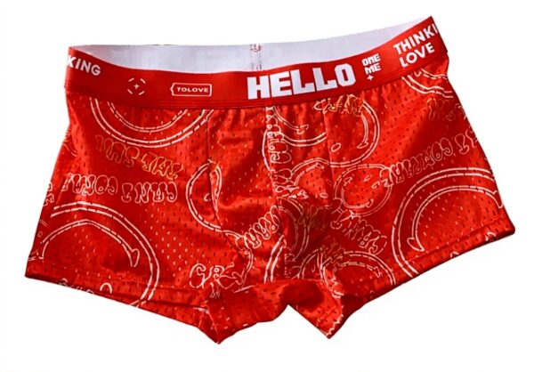 Slip Uomo JKXFYLP Mutandine Traspirante Maglie Seta Ghiaccio