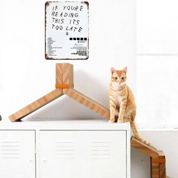 Poster Drake NTRECS targa metallo vintage decorazione parete