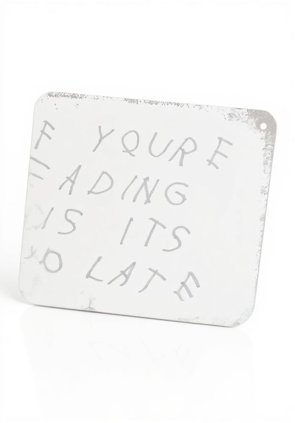 Poster Drake NTRECS targa metallo vintage decorazione parete