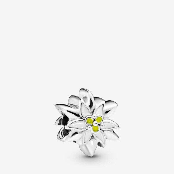 PANDORA Charm argento sterling Garden ciondolo donna-0