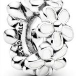 Immagine prodotto successivo