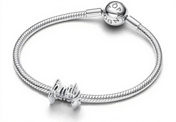 Charm Pandora famiglia argento zirconia ciondolo bracciale