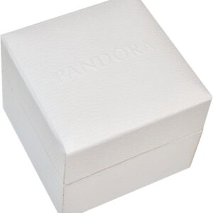 Scatola regalo Pandora gioielli donna elegante confezione-0