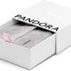Set imballaggio ecologico PANDORA borsa scatola bracciale-2